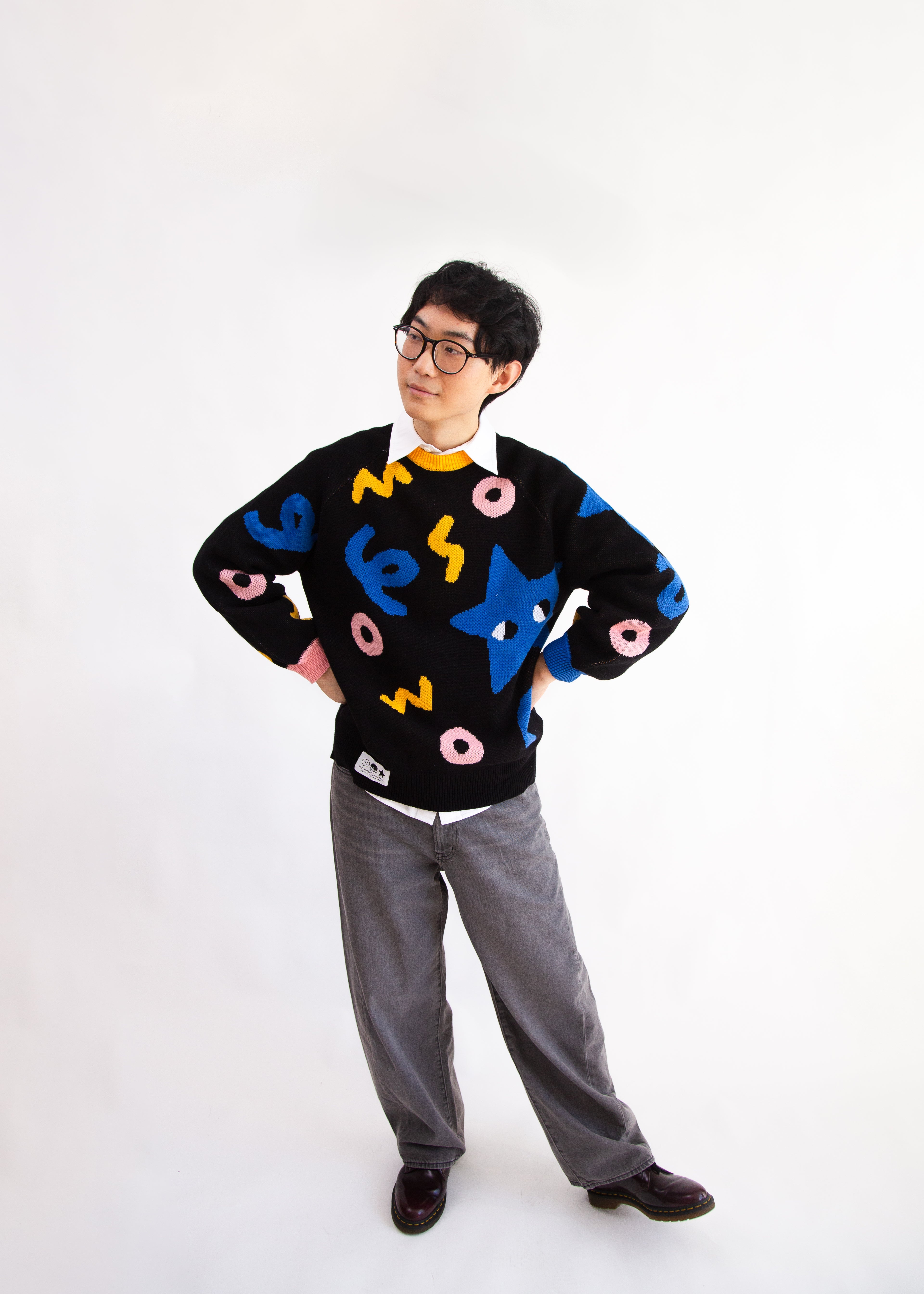 SIDEKICK: Thick knit jacquard sweater