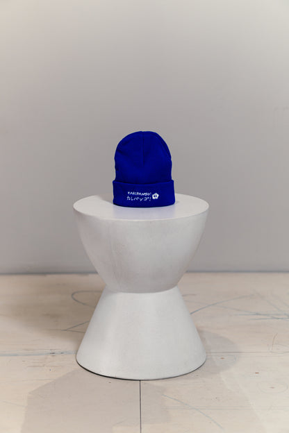 TAO: Embroidered beanie