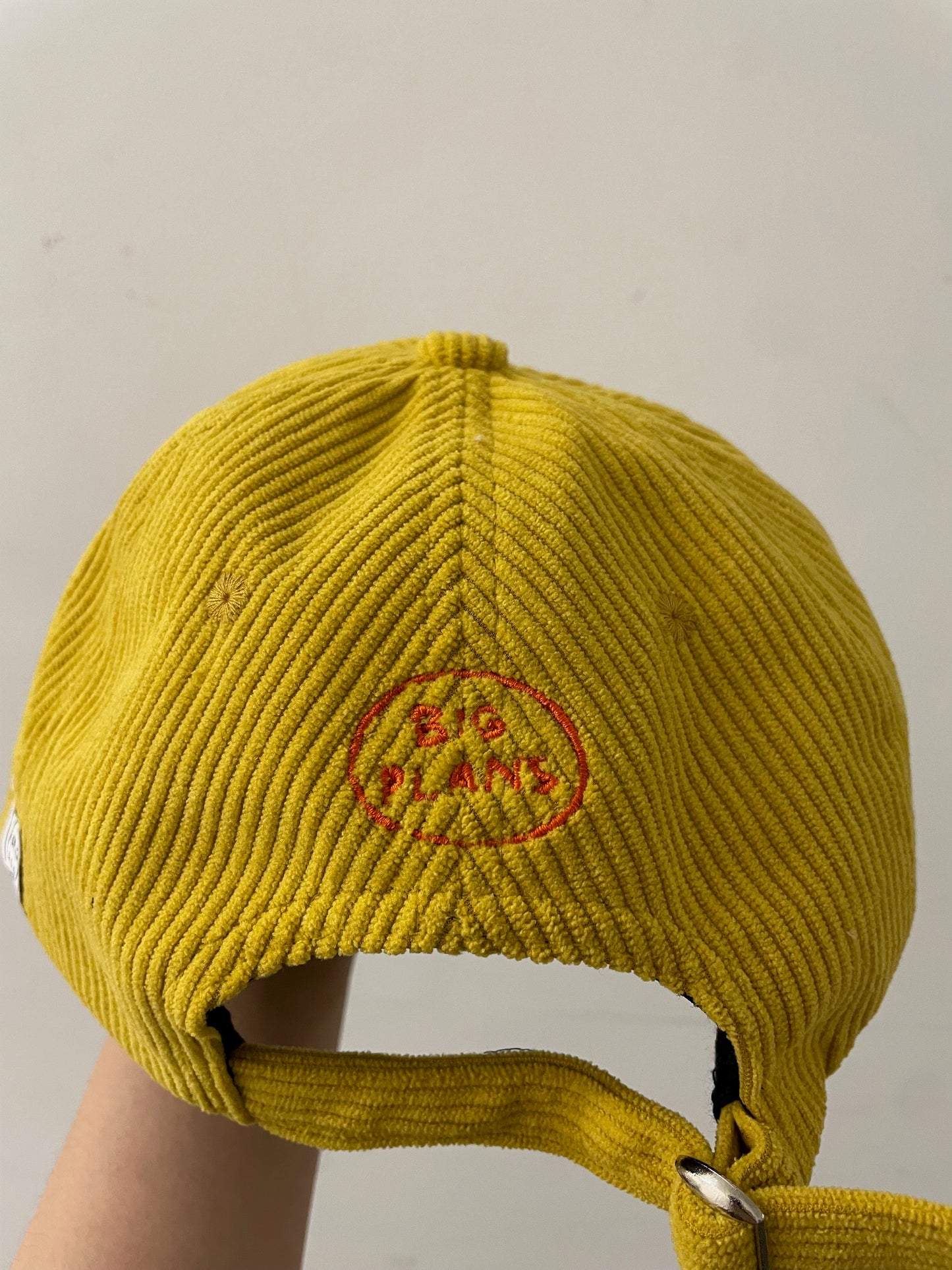 BIG PLANS: Yellow corduroy baseball cap