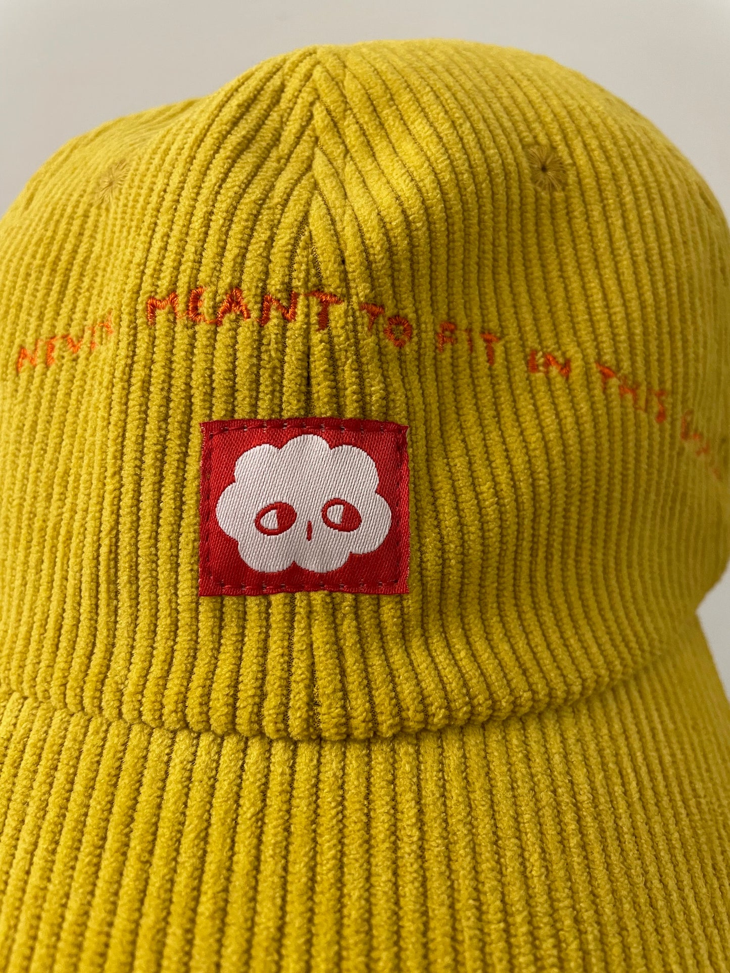 BIG PLANS: Yellow corduroy baseball cap