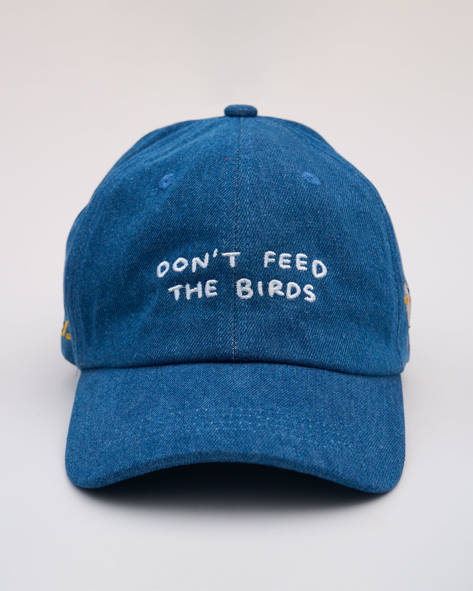 DON'T FEED THE BIRDS: Cap (NYC MARKETS EDITION)